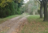 Terrenos - Oliveros - Venta