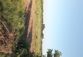 Terrenos - Victoria - Venta