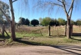 Terrenos - Ibarlucea - Venta