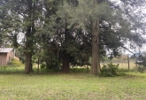 Terrenos - Rosario - Venta