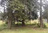 Terrenos - Rosario - Venta
