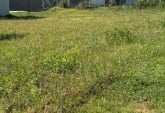 Terrenos - Funes - Venta