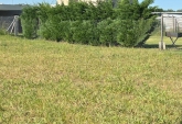 Terrenos - Funes - Venta