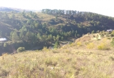 Terrenos - El Durazno - Venta