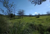 Terrenos - El Durazno - Venta