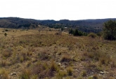 Terrenos - El Durazno - Venta