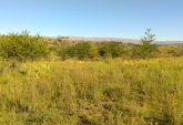 Terrenos - El Durazno - Venta