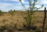 Terrenos - El Durazno - Venta