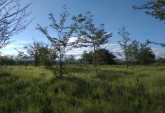 Terrenos - El Durazno - Venta