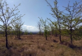 Terrenos - El Durazno - Venta