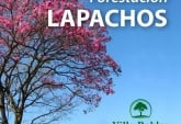 Terrenos - San Lorenzo - Venta