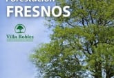Terrenos - San Lorenzo - Venta