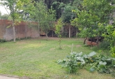 Casas - Carcaraa - Venta