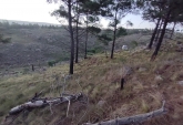 Terrenos - Yacanto De Calamuchita - Venta