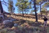 Terrenos - Yacanto De Calamuchita - Venta