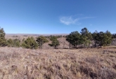 Terrenos - Yacanto De Calamuchita - Venta