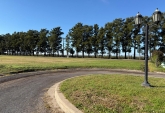 Terrenos - Fighiera - Venta
