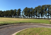 Terrenos - Fighiera - Venta