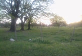 Terrenos - Puerto Gaboto - Venta