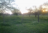 Terrenos - Puerto Gaboto - Venta