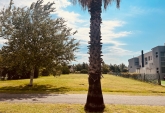 Terrenos - Roldan - Venta