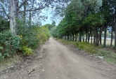 Terrenos - Valle Hermoso - Venta