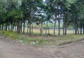 Terrenos - Valle Hermoso - Venta