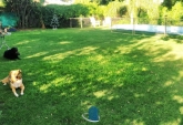 Casas - Roldan - Venta