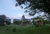 Terrenos - San Pedro - Venta