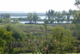 Terrenos - San Pedro - Venta
