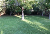 Casas - Roldan - Venta