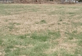 Terrenos - Rosario - Venta
