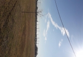 Terrenos - Carcaraa - Venta
