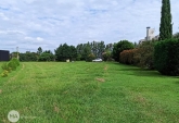 Terrenos - Oliveros - Venta