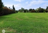 Terrenos - Oliveros - Venta