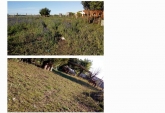 Casas - Victoria - Venta