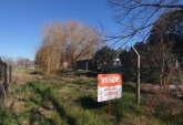 Terrenos - Ricardone - Venta