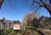 Terrenos - Ricardone - Venta