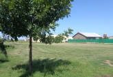 Terrenos - Roldan - Venta