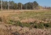Terrenos - Venta