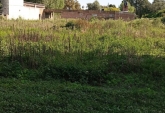 Terrenos - Oliveros - Venta