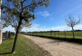 Terrenos - Rosario - Venta