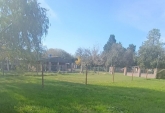 Terrenos - Oliveros - Venta