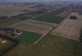 Campos - Fighiera - Venta