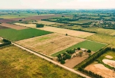 Campos - Fighiera - Venta