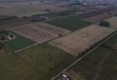 Campos - Fighiera - Venta
