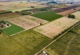 Campos - Fighiera - Venta