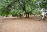 Campos - Rosario - Venta