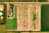 Campos - Rosario - Venta
