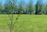 Terrenos - Rosario - Venta